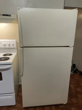 Th21v2l Amana Refrigerator For Sale