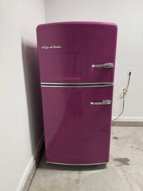 Big Chill 21tfa Retro Refrigerator 21.5 Cubic Ft Capacity