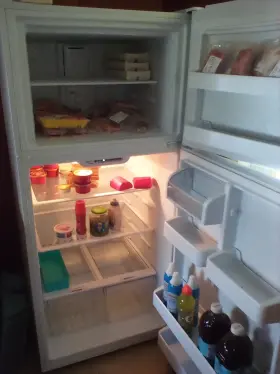 Ert18csw Element Refrigerator Used