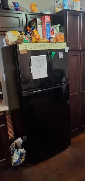 Fftr1835vb6 Frigidaire Top Freezer Refridgerator