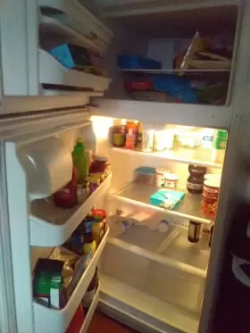 Frt18l4jwg Frigidaire Refrigerator