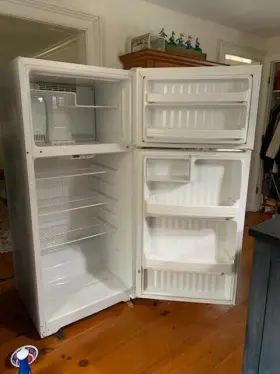 Gth17dbddrww Ge Pre Owned Refrigerator