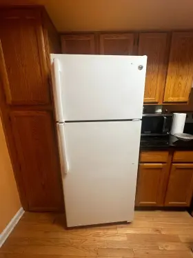 Gts16dt Ge 15.5 Cu Ft Frost-free Top-freezer Refrigerator