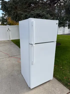 Gts16dthmrww Ge Refrigerator White Color Five Years Old In Good Condition