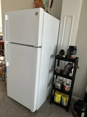 Gts17dtnjrww Ge Refrigerator