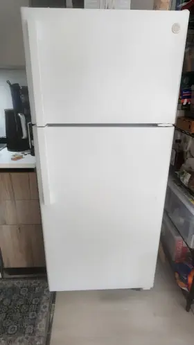Gts17dtnkrww Ge Top-freezer Fridge