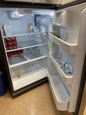 Ge Gts21fskcss Applicances 20.8 Cu. Ft. Top-freezer Refrigerator Model