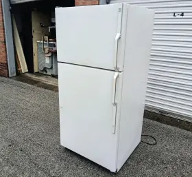 Tbx18d Ge Quality 29.5 Inch Refrigerator - Works Great