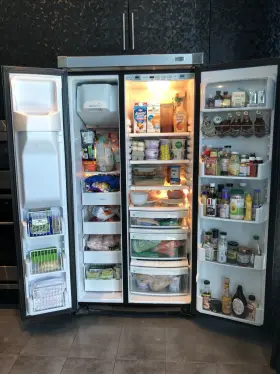 Zfsb23drgss Ge Monogram Refrigerator Model Zfsb23drg Ss - For Parts Or Repair Las Vegas