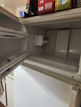 General Electric Company Gts17bcmblww Refrigerator