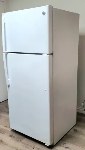 Gts16dthjrww General Electric 16.6 Cu. Ft. Top Freezer Refrigerator In Whitegts16dthjrww