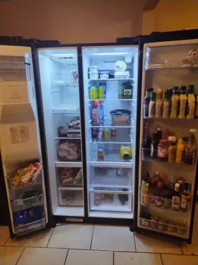 795.51737.811 Kenmore 2019 Stainless Steel Elite Refrigerator