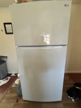 Ltcs24223w Lg 24 Cu. Ft. Top Mount Refrigerator Used Fair Condition- 650 Orange