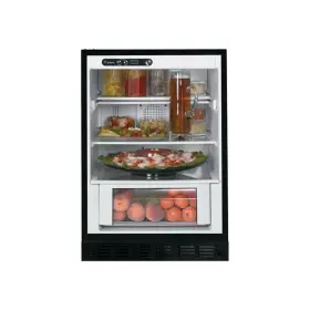 Zifi240paii Monogram Zifi240pii Ge 24 Inch Panel Ready Built-in Compact Refrigerator