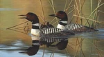 Ceramic Tile Mural Kitchen Backsplash Loon Family-cf By Cynthie Fisher New. Price: $308.00.