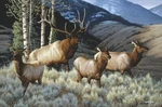 Ceramic Backsplash Tile Mural Deer Elk Wildlife Kitchen/bathroom - Ladies First New. Price: $420.00.