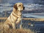 Ceramic Backsplash Tile Mural Sport Kitchen/bathroom - Tucker Cynthie Fisher New. Price: $420.00.