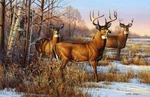 Ceramic Backsplash Tile Mural Deer Kitchen/bathroom - Cautious Cynthie Fisher New. Price: $420.00.