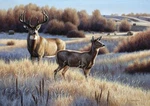 Ceramic Backsplash Tile Mural Deer Elk Kitchen/bathroom - Evening Rendezvous New. Price: $420.00.
